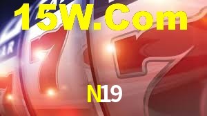 N19 App Interface